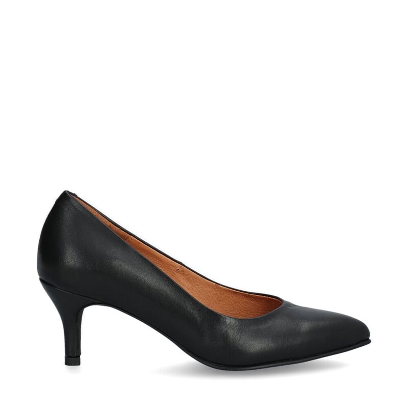 Evodia Pumps