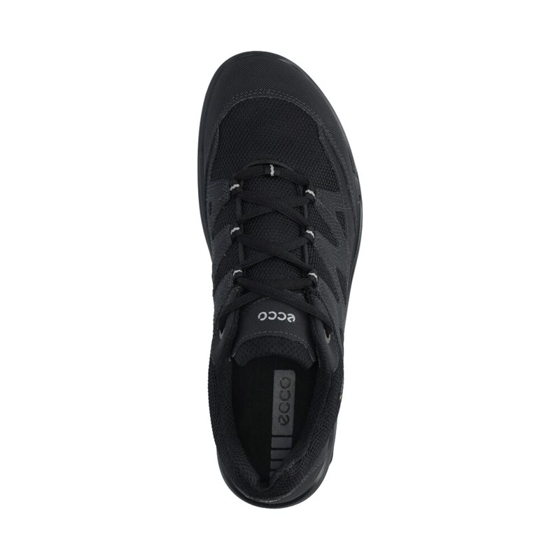 Terracruise Sneakers GTX W