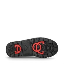 Mahonia Broddkängor