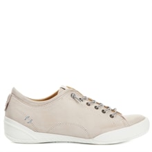 Lantana Grey