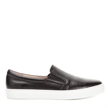 Daylily slip-in 01 Black